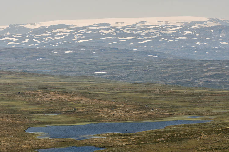 Hardanger glacier from Ustetind